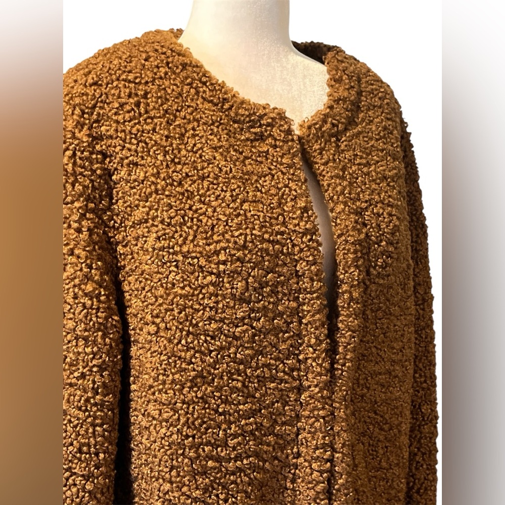 NWOT Max Studio Women’s Teddy Jacket/Coat Sienna Brown Large - Picture 4 of 10